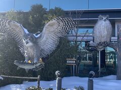 釧路空港から関空帰ります