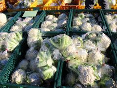 浜名湖サービスエリア
露天スペースに採れたてカリフラワーが、１ヶ100円位で売られていました。