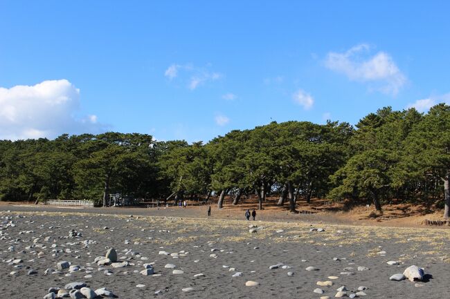 大量 美穂の松原の 富士山 を 見ながらトミカ高速ドライブ の3階の料金所のから 決死の急降下 車両基地付き 3動力編成 12車両 1円～ 年の瀬*富士山を眺めに♪前編浜名湖S.A・三保松原・河岸の市いちば館