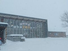 が！洞爺湖町ではほとんど降っていなかった雪が、230を走り出したら大雪、そしていつしかホワイトアウトに(ﾟДﾟ;)
ヤバいよヤバいよ、前が見えないよ！！でも戻る道も良く見えない。仕方ない、行先を変えてルスツの道の駅で様子を見よう！！

12月上旬ですが前が全然見えないほどのホワイトアウトに遭遇し、身の危険を感じながら何とかルスツにたどり着きました。ルスツは大雪で道の駅の駐車場も大変なことになってましたが、とりあえず身の安全を確保できました。

せっかくなのでここでお土産を。冬の味覚のゆり根を箱買いしました★

帰り道もあまり見通しがよくありませんでしたが、超安全運転で帰宅しました。
