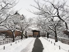 一路東京へ言いたいところだが、やっぱり1箇所くらい見て帰らないと。 雪の金沢城です。