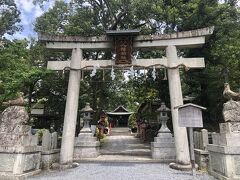 三宅八幡神社。狛犬さんではなく狛鳩さんがいる、子どもの守り神様の神社です。