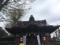 更に歩いて、滝野川八幡神社へ。
本殿の黒い屋根のところどころに、金色の左三つ巴の神紋が設えられていました。
左右に提がる提灯や、狛犬の尻尾の意匠にも、左三つ巴が使われていました。
