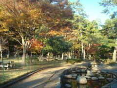 樗谿公園は紅葉スポットとのことですが、11月上旬では少し早かったようです。