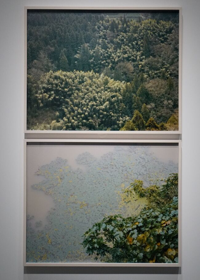 アーティゾン美術館・写真と絵画－セザンヌより 柴田敏雄と鈴木