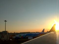 羽田空港に到着。
こちらはいいお天気。夕日がまぶしい。