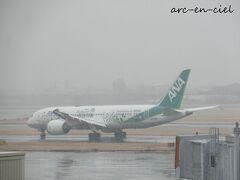 【1月27日（金）1日目】
大阪は、朝から曇天。
伊丹空港に到着した頃には、雪が降り出してきました。

そんな中、緑色のANAが目の前を通り過ぎ、思わず二度見(+_+)。
調べてみると、昨年11月から登場した「グリーンジェット」でした。