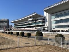 競馬場にも歩いてきました。川崎にある大きな競馬場。