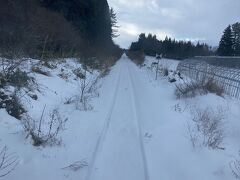 代行バス中は雪に埋もれる線路を通過。