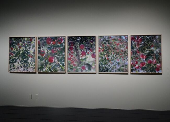 アーティゾン美術館・写真と絵画－セザンヌより 柴田敏雄と鈴木