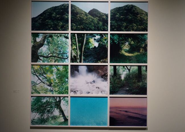アーティゾン美術館・写真と絵画－セザンヌより 柴田敏雄と鈴木