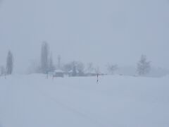 昨日は来れなかった新栄の丘下に見にきましたが、
大変な状況です。
路肩の雪山が高すぎて、
赤い屋根の丘方向はまったく見えません。
もちろん路上駐車も危険です。
ここでの夕焼けはだめですね。
十勝岳連峰が見えるくらいでしょう。
そんなわけで、16時には待機しようと考えていた予定はなしにして、
旭川方面に向かいます。