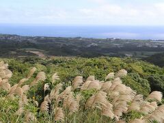 島で２番目に高い越山展望台（188ｍ）に上がります。