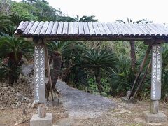 ソテツジャングル（写真）は蘇鉄が植えられている植物園も、見るべきものは蘇鉄よりも、花に集まってくるチョウです。