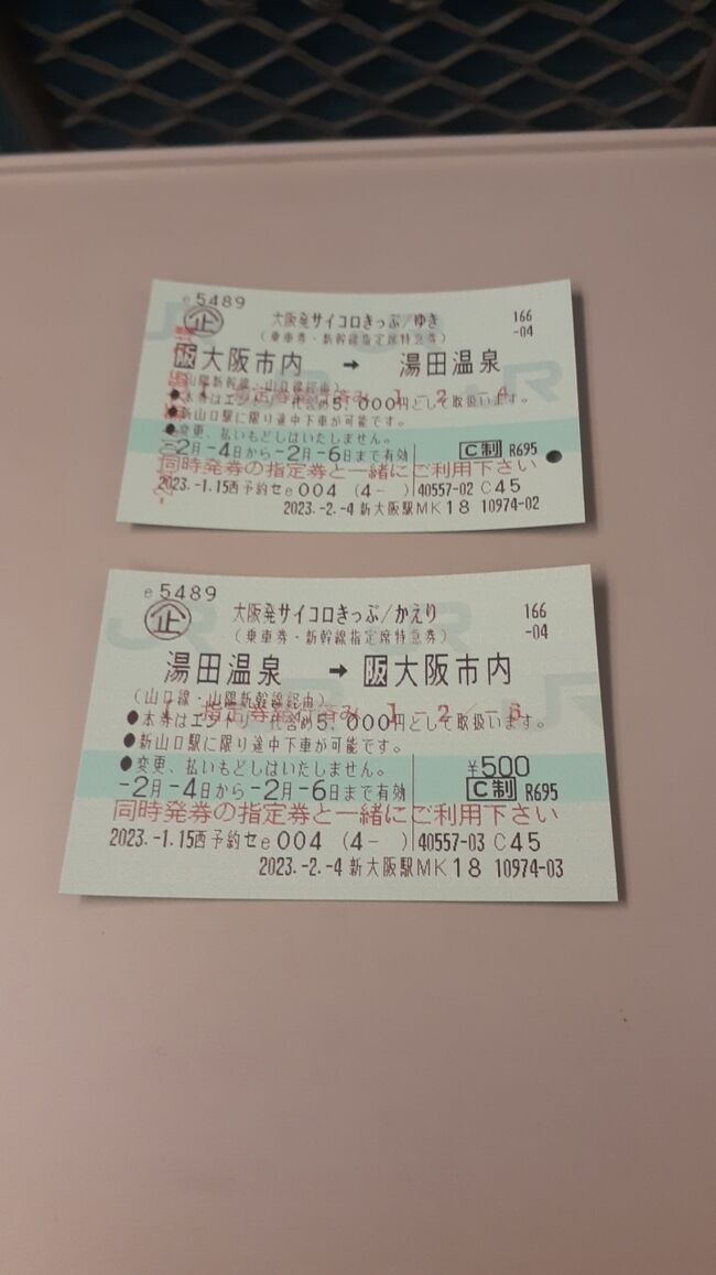 好評 【3月6日•時間指定】博多（市内）→新大阪（市内） ひかり 乗車券 