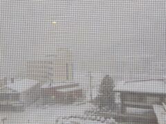 北海道は大雪に見舞われ、普段雪の少ない登別温泉もすっぽりと冠雪しました。ホテルの窓から網戸越しの風景。