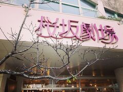 午後は初めての桜坂劇場！
目の前の桜が咲き始めてます。
レトロな映画館でした、今日は中島みゆきさんのコンサート映像を見て旦那と感動、生でみゆきさん見てみたかったなあ。