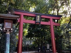 稲毛屋さんから、根津方向へ歩いて１5分ほどで、根津神社です。

あとで気が付きましたが、どうやら西の裏門のほうから入ったみたいです。