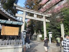 岡崎神社の鳥居