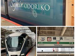羽田から京急で横浜へ。横浜からサフィール踊り子に乗ります。一度乗ってみたかった列車でしたが。