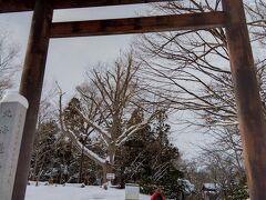 北海道神宮の入口に着きました。
街中を離れると純白の雪を踏み締める度にキュッキュと鳴ります。