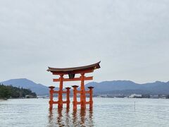 あいにくの曇り空。
修復終わってまた立派な姿！！