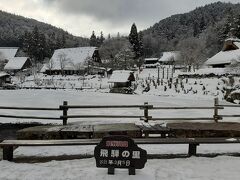 飛騨の里です。

この時期は夜ライトアップされていて人気なのですが、行ったことがなく、かつバスも夜は走っておらず（コロナ前は臨時で走ってたようですが）。

帰りのタクシーが拾えなかったら死ぬなと思ってやめて、夜はまた今度楽しもうと思い、昼に来た次第です。

実際にはタクシーを呼ぶ電話番号などもしっかり書いてあり、タクシーは捕まえられましたね。