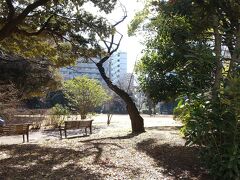 神奈川公園のわきを通って西区に向かいます。