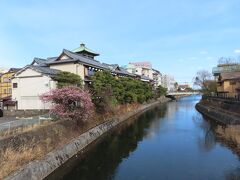 伊東大川、東海館、桜