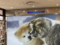 秋田空港
いたるところで秋田犬を推してて
嬉しい