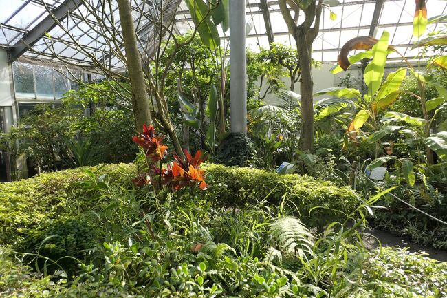 箱根強羅公園♪