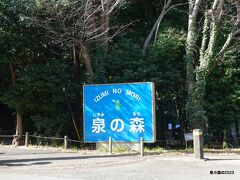 11:57　泉の森 神奈川県大和市上草柳
都内から、それなりに渋滞している下道（246号）で1時間半ほどかけて泉の森に到着。事前調査でアクセス便利とされる第2駐車場（無料）に車を停めて散策開始です。
