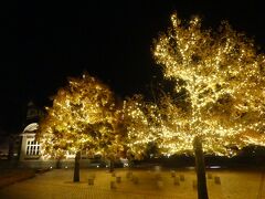 イルミネーションを見ながら散策します。
