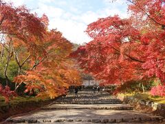 続いて二尊院へ。
ここの参道の紅葉が見たかった。
うーん、すばらしい。