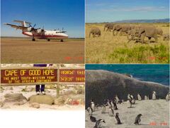 ロンドンから念願のアフリカ大陸へ
ブリテッシュ航空でアフリカへ飛びました。
ナイロビはちょうどジャカランダの樹に
美しい紫の花が咲いていました。
ナイロビ空港から小型プロペラ機で
マサイ・マラ国立保護区へと飛びました。

マサイ・マラ国立保護区を見下ろすオロロロの丘に
日本人建築家エドワード鈴木が設計・建設したロッジ
『ムパタ・サファリ・クラブ』があります。
このロッジのことを吉永小百合が、
寅さんに出演した時のエピソードとして
『渥美さんが〈ブワナトシの歌〉のアフリカロケの話をしてくださり
「夜中にションベンしようとテントから外へ出て見るでしょう。
するとね、星が無数の星が直ぐ近くで瞬いているンですよ。
あんまりいっぱい星があって思わず身震いしちゃってね」と
渥美さんが、あの表情で、あの声でいうんです。

「役者なんて定めのないもの。先のことはわからない。
僕はひと月ふた月先の仕事だって決めずにのんびりして
いたいんだよね。そんな時、何かがふっとわかるような
気がするんです。気がするだけですが。」
そして、この言葉とアフリカの星は私の胸の奥に焼き付きました。
なおも続けて
ナイロビは赤道直下に位置していますが、標高が１６００mという
高地にあるせいでしようか、気候は軽井沢の夏に似ています。
ナイロビはマサイ語で「冷たい水」という意味があるそうです。
写真家の三好和義さんの〈楽園〉という写真集があるのですが
この地球に残された楽園といわれる所を三好さんの目で
鮮やかに写し撮ったものです。その中にこの
「ムパタ・サファリ・クラブ」のベランダから見た
広大なサバンナの夕景がありました。
今直ぐにも飛んでいきたい思いです。
耳を澄ますとアフリカの大地に降ってくる星の音が
静寂の中から聞こえてくるような気がします。』と

これを目にした時、アフリカへ行ったらここへ
行こう(⌒-⌒; )と楽しみにしてやって来たのでした。
連日ゲームドライブで国境の保護区まで
遠出をして野生動物を観察したりテラスから
満天の星を眺めたりして過ごしました。

私が宿泊した数日間は、日本人の宿泊客のほとんどが
新婚旅行のカップルさんでした。(⌒-⌒; ) 
その中に
「２０歳代の記念に何かしたい。とやって来ました。」
と話す、某庁に勤めているという、ひとり旅の女子と
今はナチュラリストとして活躍する
Kさんのガイドするムパタ・サファリ・クラブ主催の
フリーツアーに参加しました。
偶然にも２回ともに参加者は２名だけでしたが
野生動物の侵入を防ぐための電気柵に囲われた
ムパタ・サファリ・クラブの自家菜園や
付近を散策しながら
それまで見たことのない植物の数々を教えてもらったり
夜明け前に、庭に集合して、
満点の星空にサーチライトのような灯りをピンスポットにし
て星座〈星〉に当てて説明してもらったり
どちらも楽しく興味の尽きないフリーツアーでした。

Hotel代金は3食込みとなっていて
朝夕〈昼は、ゲームドライブの草原でランチBox〉の時間には
フリーツアーが縁となり、いつも3人でテーブルを囲み
日本の星付きレストランからやってきたシェフの作る料理を食べながら
アフリカの野生動物や植物の話しやお互いの趣味の話を交わしました。
Kさんは
〈アフリカの大学で野生動物と保護区の勉強をして
卒業後に数年間アフリカの自然保護区を回ってその後
ここに落ち着きました。〉と
言っていたので当時３０歳前の青年でした。
彼は
休日にナイロビの街によく出かけ映画をよく観たそうですが、
ある日観た、スピルバーグの『プライベート・ライアン』の
話しが印象的でした。
〈ノルマンディー作戦に戦った若い兵士とその上官にトム・ハンクスで
公開当時冒頭の延々と続く戦闘シーンがリアルと話題になりましたが、
戦争に参戦する兵士と、後半その家族の哀しみが一層際立っていました。〉
映画が始まるり、アメリカ兵士が活躍するシーンになると
館内の観客は立ち上がって、スクリーンに向かって
やんやの歓声を送りながら見ている。ので、最初は驚いた。
とナイロビの映画館での話しなど次々と楽しく興味が尽きない
話しをしてくれ　いつもダイニングのゲストは
自分たち3人の他誰もいなくなるまで話していました。
食事の時間はゲームドライブと同じくらい楽しい時間となりました。

ムパタ・サファリ・クラブの滞在は、バンフから数えて４１日目、
久しぶりに日本語を聞き・たくさん語り合いました。

ムパタ滞在の４～5日間、今思うと夢のような日々でした。

数日後
彼女が１日先に帰国し、その翌日Kさんたちムパタのスタッフさんに
マサイ・マラの空港に送っていただき、さよならを言った時は、
チョッピリセンチになるも、プロペラ機が飛びたち窓の下方に広がっている
野生動物たちが高原を駆ける姿を見ながらナイロビへ戻りました。

さぁ次も楽しみにしていたケープタウンから
いよいよアフリカ大陸の最南端喜望峰だぁ。と
センチになる心奮い立たせ旅を続けました。

