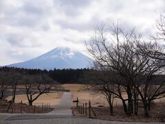 道の駅朝霧高原 富士山展望台