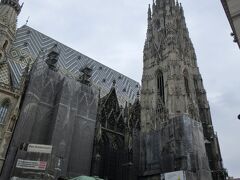 ウィーン市内に戻って市内見学。街の中心にそびえる「シュテファン大聖堂」南塔はカメラに収めるのも大変。
