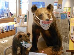 私たちは 支笏湖氷濤まつり会場に入る前に
情報収集のため支笏湖ビジターセンターを
尋ねました。
センターの入り口ではマスクをしたヒグマの親子が
私たちを迎えてくれました。