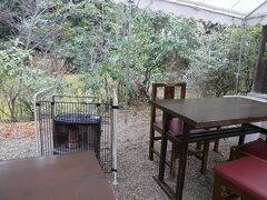 いつものところでお昼です。

店内、混んでたのでお庭でいただきます。

お庭には私一人なのにストーブつけてくれました。