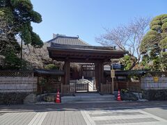 浦和に来たので、桜で有名な玉蔵院へ寄ってみました。

平安時代頃に弘法大師により創建されたと伝わる古刹です。
御本堂横の樹齢100年以上のしだれ桜で知られています。何か他のお花は咲いていないかな？と思い立ち寄りましたが何も咲いてなくひっそりとしていました。
また桜の季節に伺いたいと思います。
