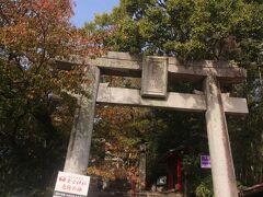 愛宕神社まで歩きました。
