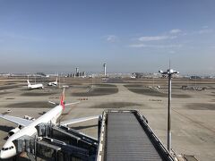 目の前に韓国のアシアナ航空が止まっていました。
飛行機の離着陸が見れます。