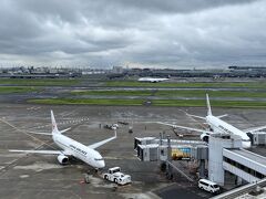 空港着いたら行ってしまう展望デッキ。向かいの国際ターミナルにルフトハンザの747が見えてテンションあがる