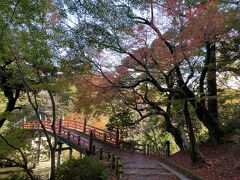 高岡古城公園の中を散歩します。