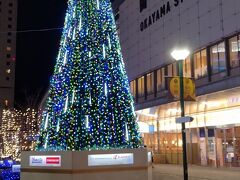 ●JR/岡山駅

東口(後楽園口)へやって来ました。
やはりこちら側が駅の顔ですね。
駅前に大きなクリスマスツリーが点灯されていました。