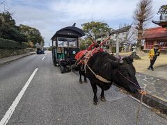 観光牛車