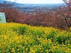 https://4travel.jp/travelogue/11809537
10時に松田の桜まつり