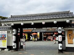 熊本城 桜の馬場 桜の小路