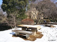 東京都立桜ヶ丘公園