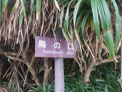 久米島の一番南側に面する位置にある、絶壁の海岸線です

　標識には６６０メートルとありますが、急な坂道や木造の階段を進んでいきますが、途中で体力的にも厳しくなってきて、中断しました・・・・